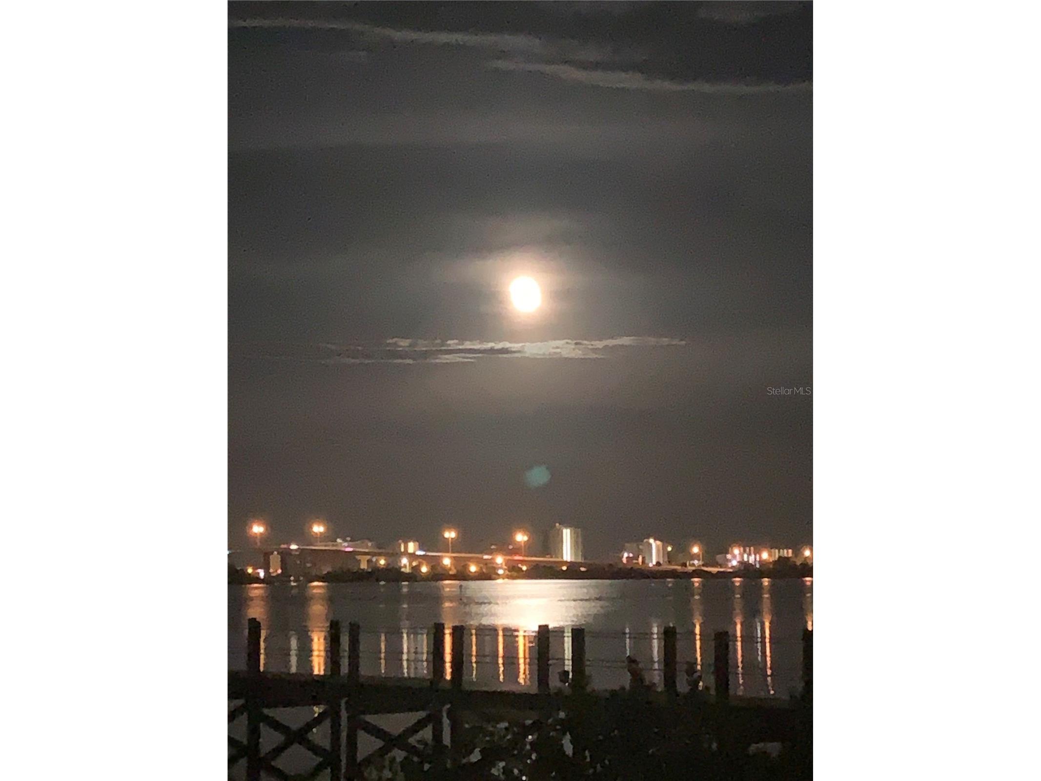 3333 S Ridgewood Avenue #9C Port Orange FL 32129 - INTRACOASTAL FC318098 image23