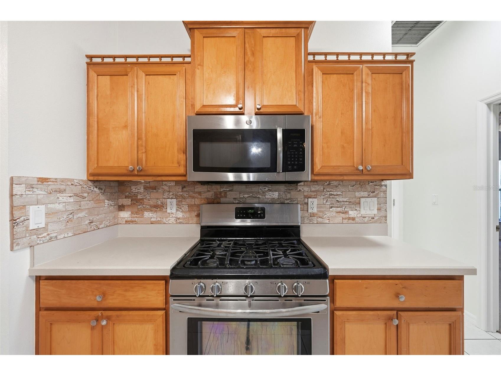 3333 Site To See Avenue Eustis FL 32726 - LAKE EUSTIS G5110055 image11