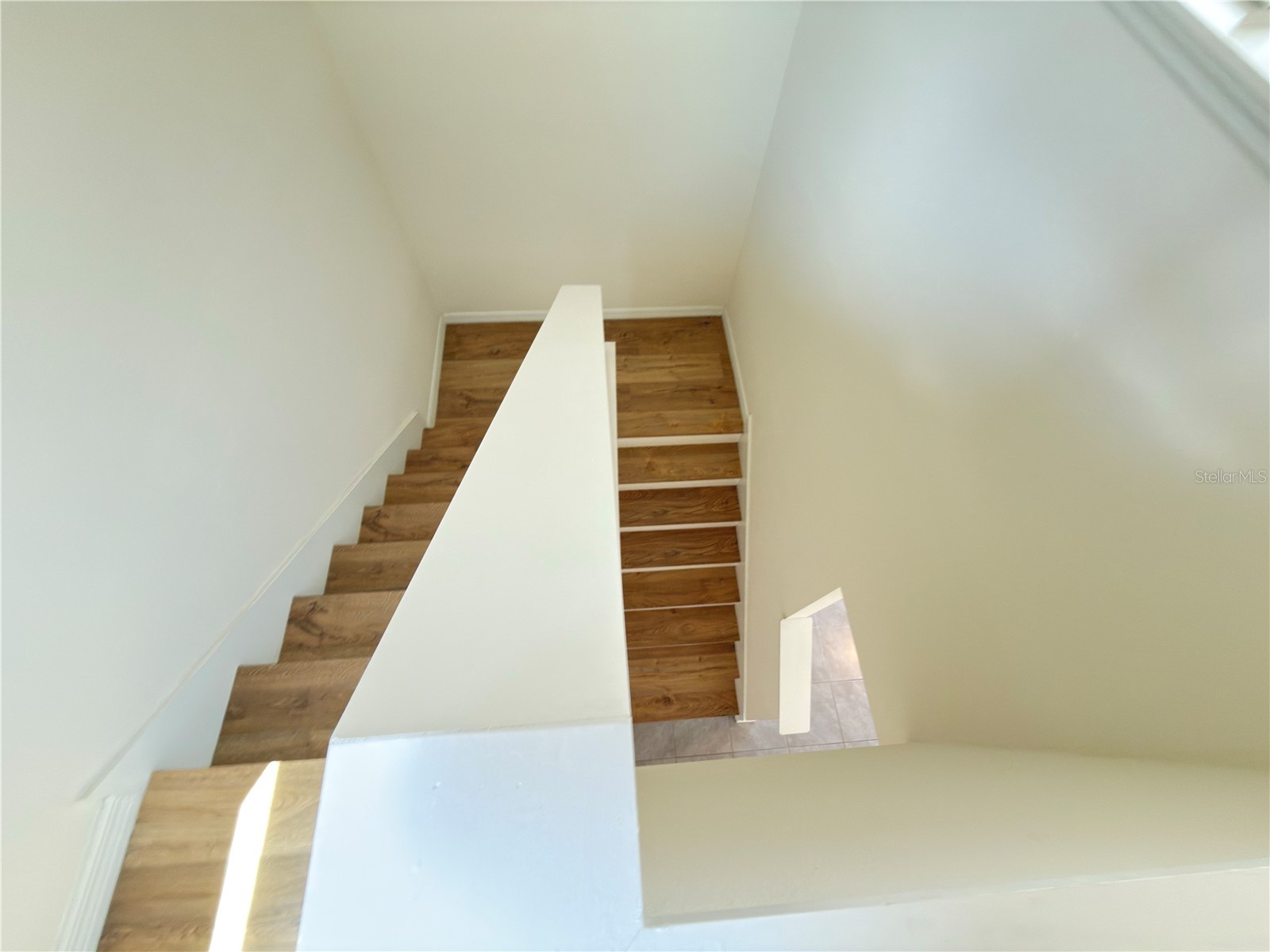 33333 Field Maple Loop Wesley Chapel FL 33545 TB8479692 image18