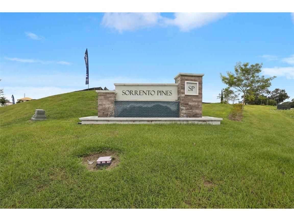 33336 Seattle Slew Drive Sorrento FL 32776 TB8426272 image29