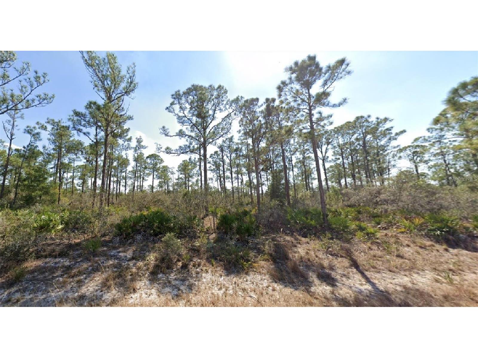 3334 Barn Swallow Avenue Lake Placid FL 33852 O6343282 image1