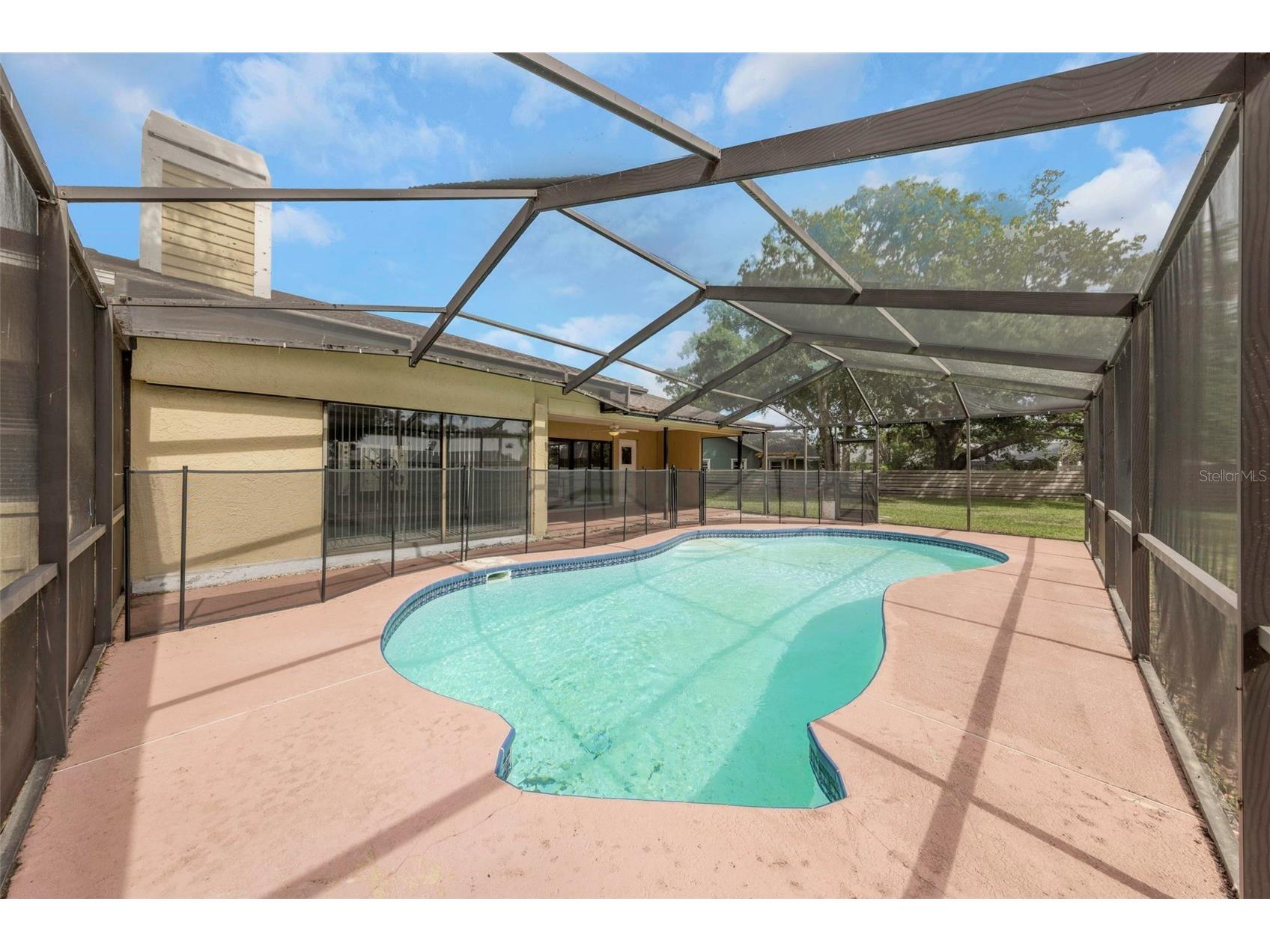 3334 Brian Road N Palm Harbor FL 34685 TB8496319 image3