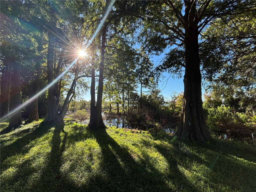 3334 Fox Ridge Drive Winter Haven FL 33884 - LAKE FOX P4936715 image37