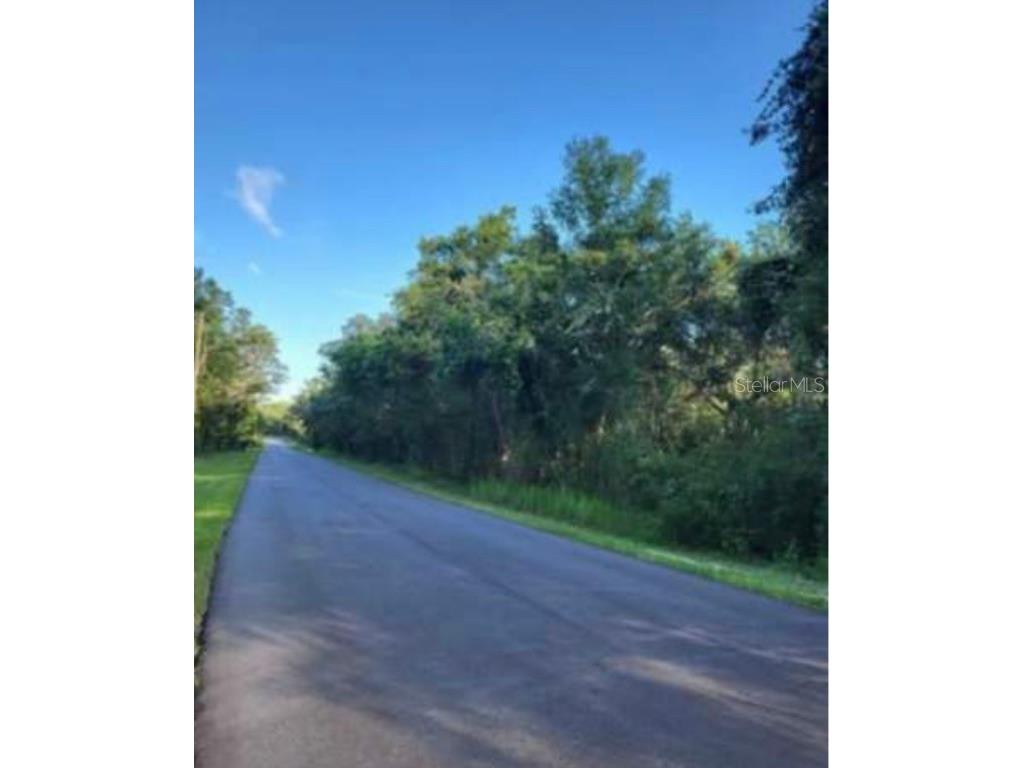 33340 Tombstone Street Webster FL 33597 S5139523 image1