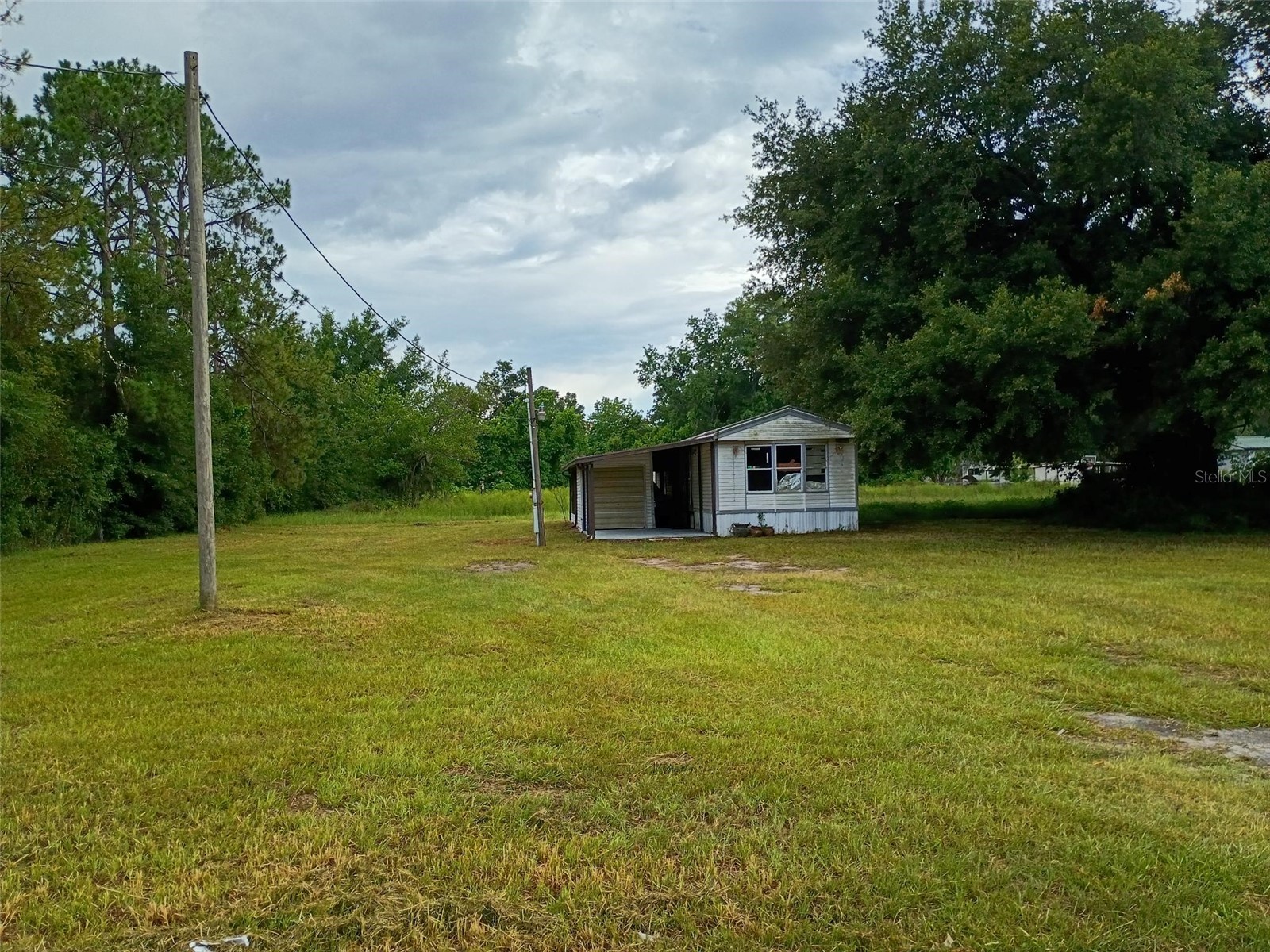 33348 Brisk Drive Wesley Chapel FL 33543 TB8519741 image1