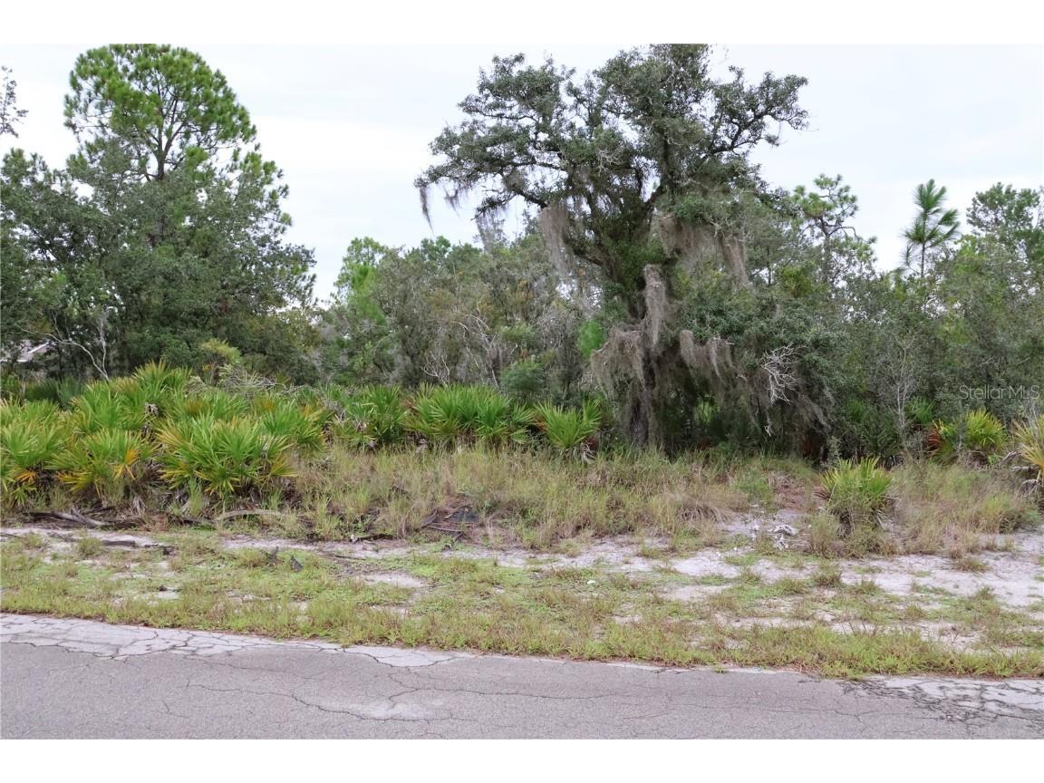 3335 Gerber Avenue Lake Placid FL 33852 C7514105 image1