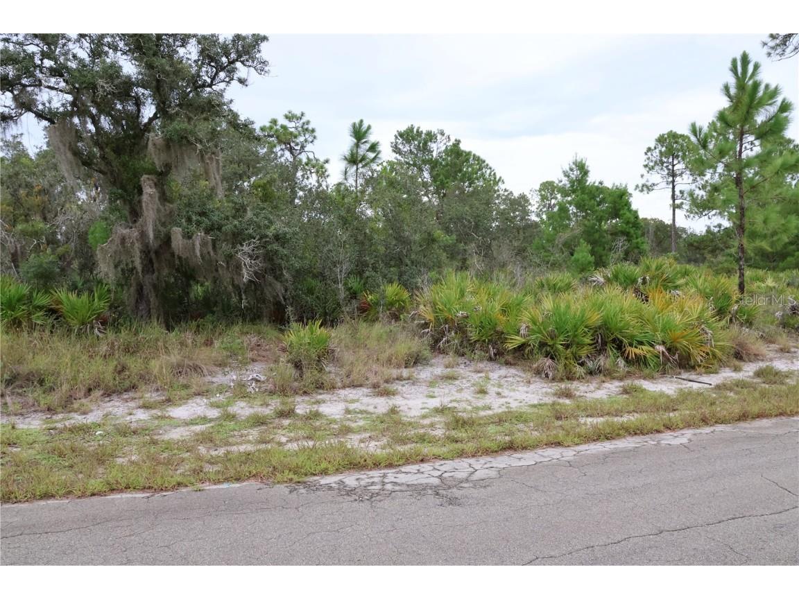 3335 Gerber Avenue Lake Placid FL 33852 C7514105 image2