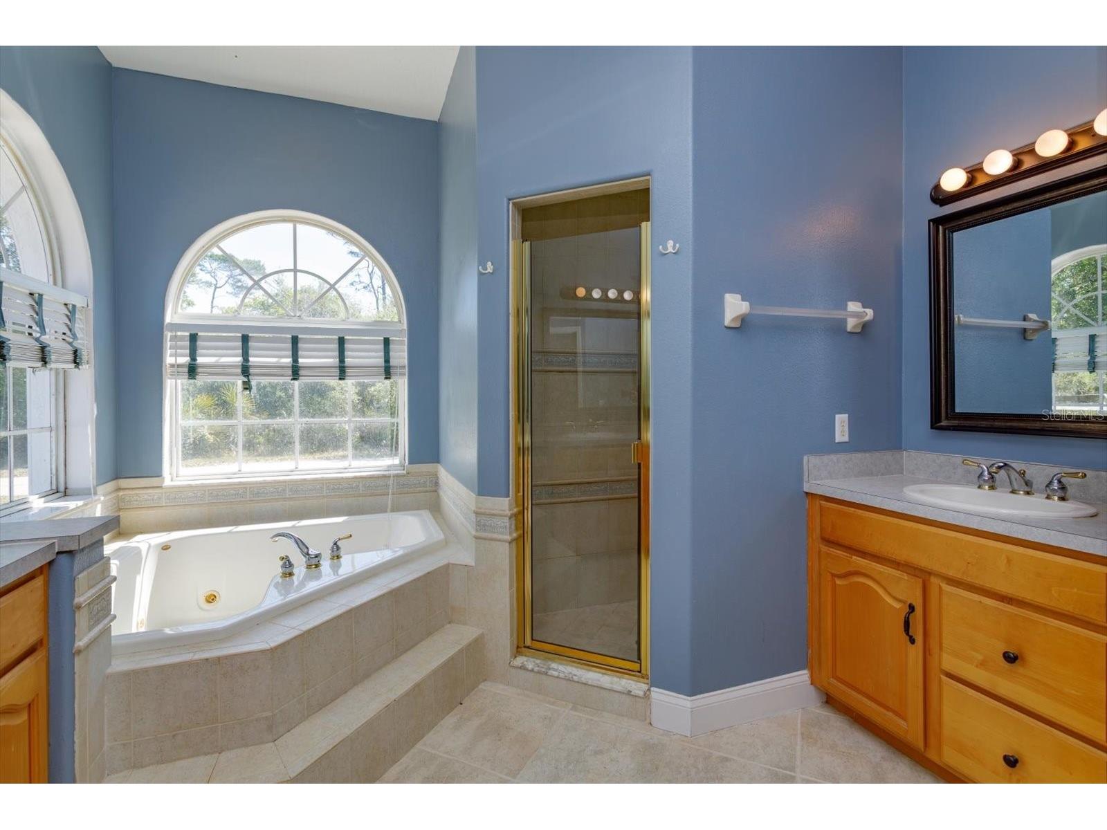 3335 Riverhead Drive Deltona FL 32738 O6402986 image19