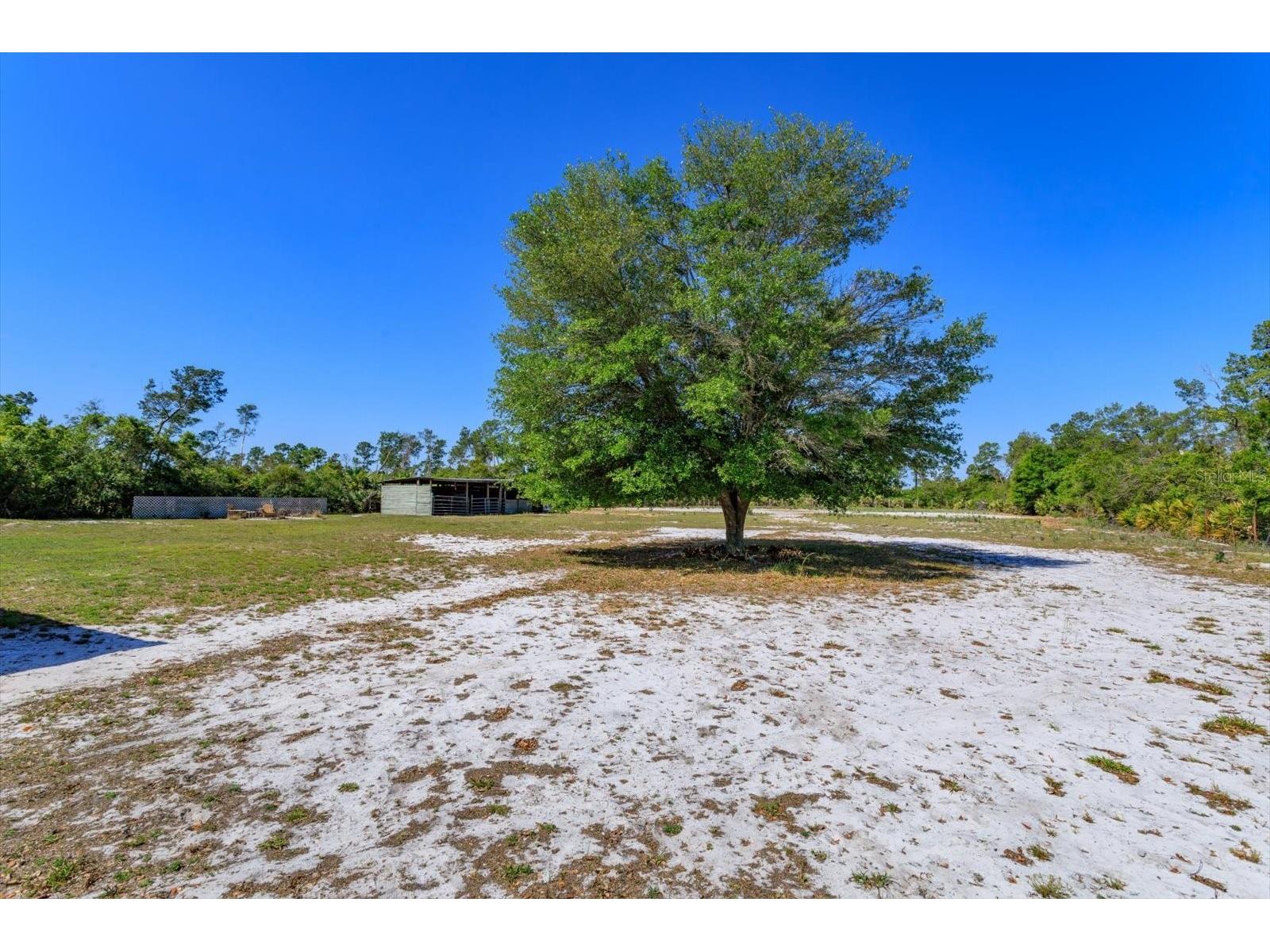 3335 Riverhead Drive Deltona FL 32738 O6402986 image32