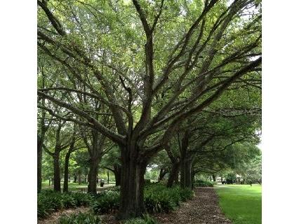 3336 20th Avenue SW Largo FL 33774 TB8408310 image36