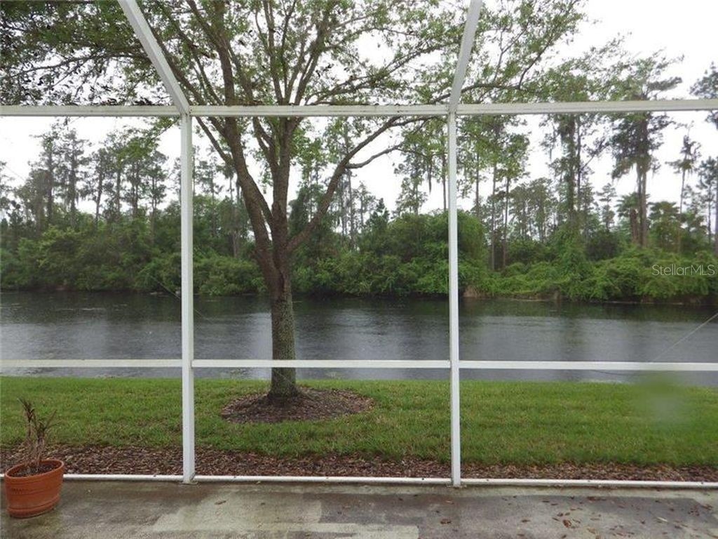 3336 Chapel Creek Creek Wesley Chapel FL 33543 TB8437771 image13