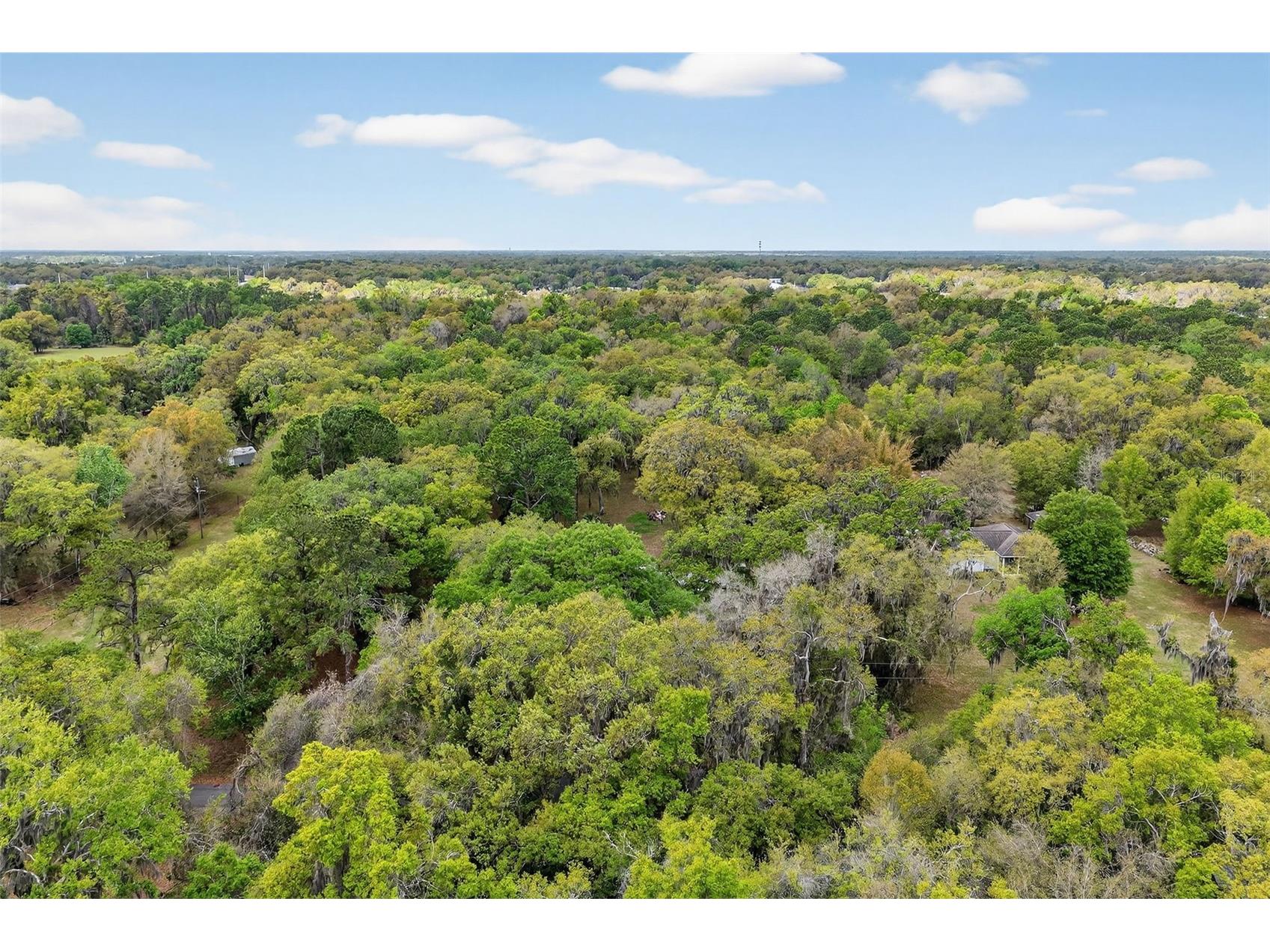 3336 County Road 510a Wildwood FL 34785 G5109677 image22