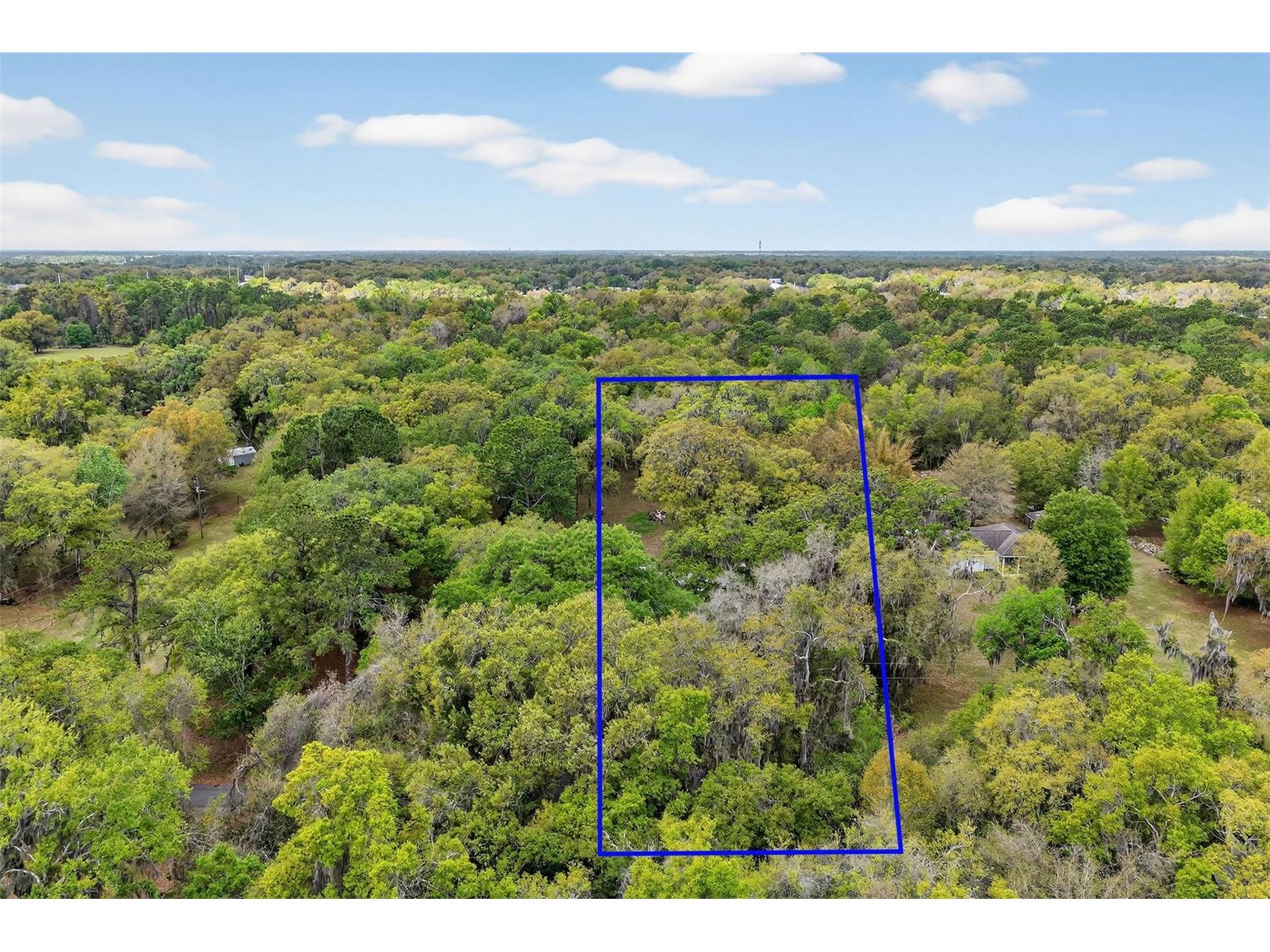 3336 County Road 510a Wildwood FL 34785 G5109677 image4