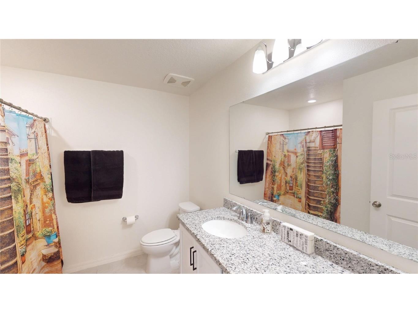 3336 Pink Oleander Avenue Mascotte FL 34753 O6346350 image20