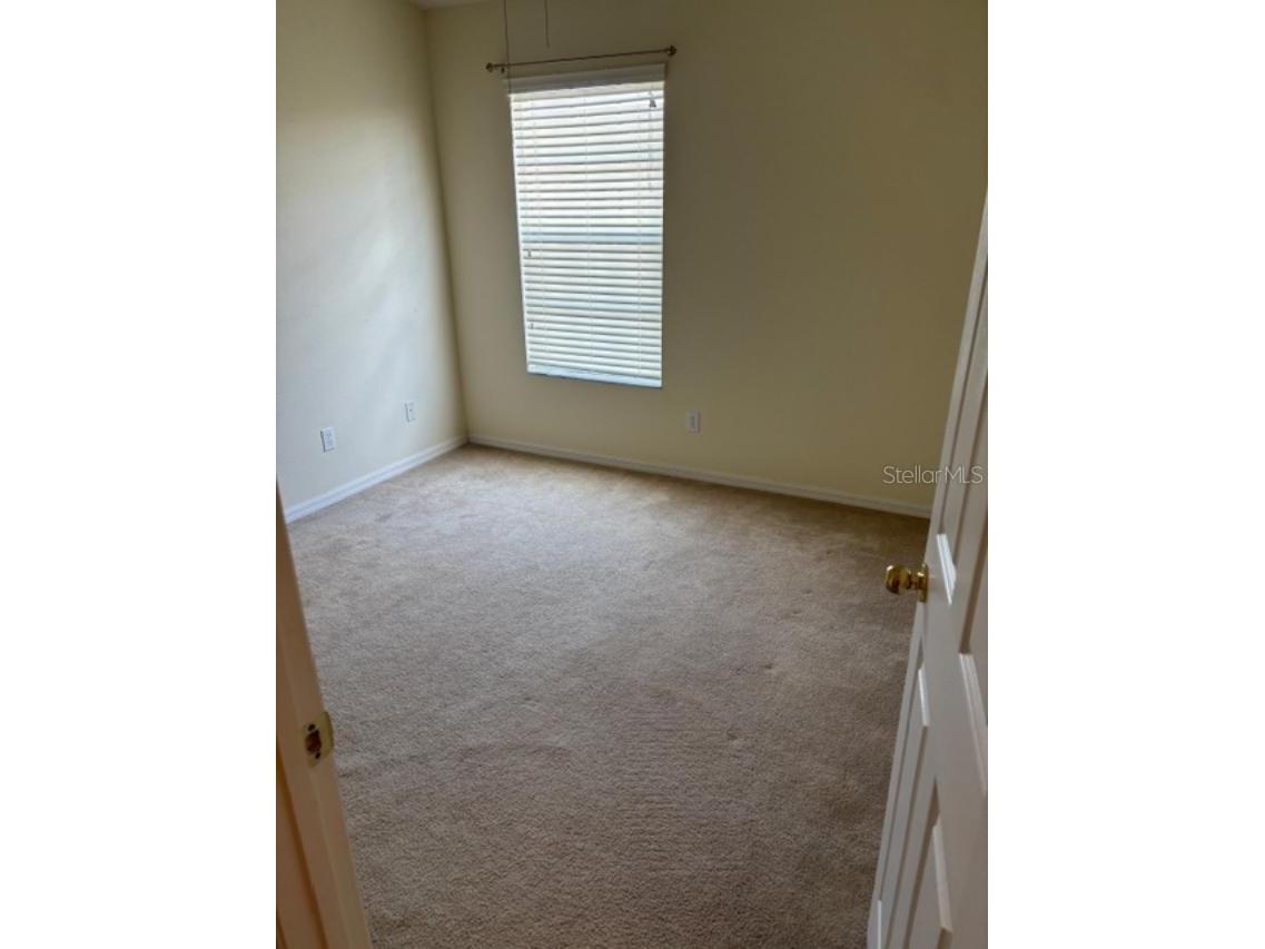 3336 Santa Rita Lane Land O Lakes FL 34639 TB8387205 image17
