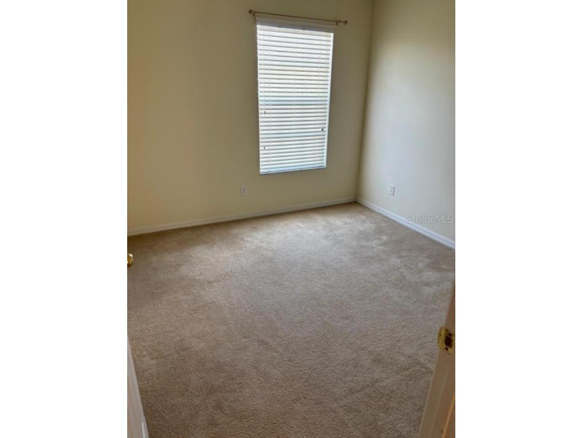 3336 Santa Rita Lane Land O Lakes FL 34639 TB8387205 image21