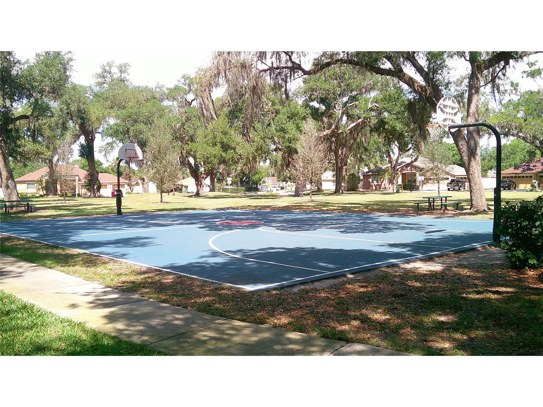 3336 Santa Rita Lane Land O Lakes FL 34639 TB8387205 image29