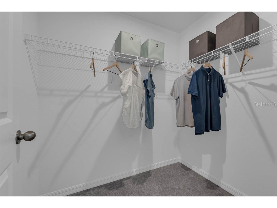 3336 Thicket Street Tavares FL 32778 O6323822 image27