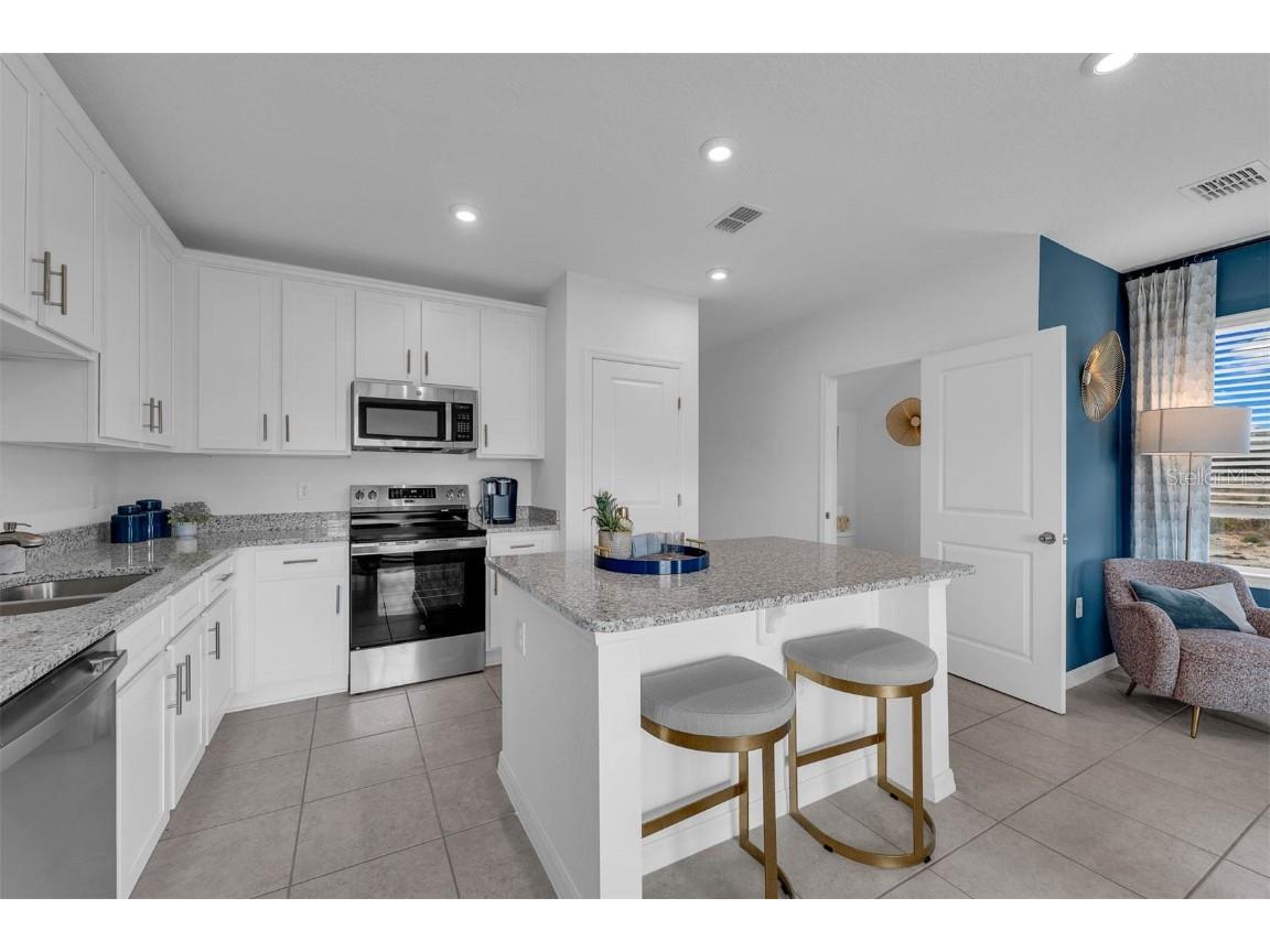 3336 Thicket Street Tavares FL 32778 O6323822 image9