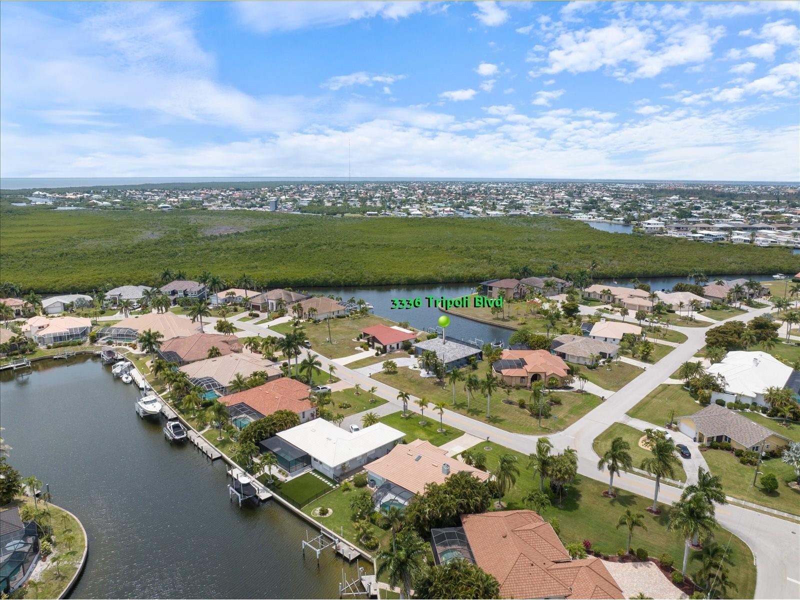 3336 Tripoli Boulevard Punta Gorda FL 33950 C7526085 image43