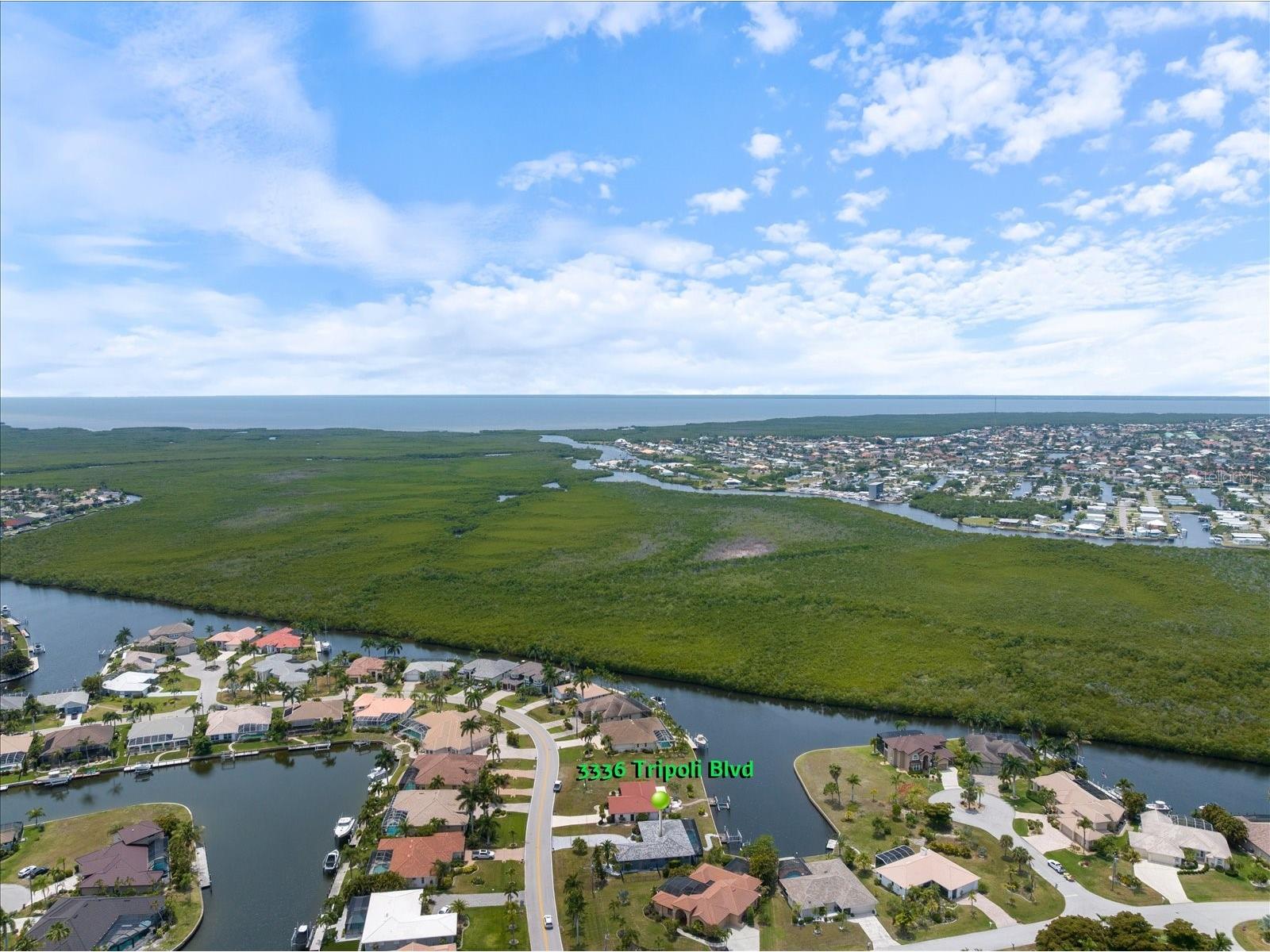 3336 Tripoli Boulevard Punta Gorda FL 33950 C7526085 image44