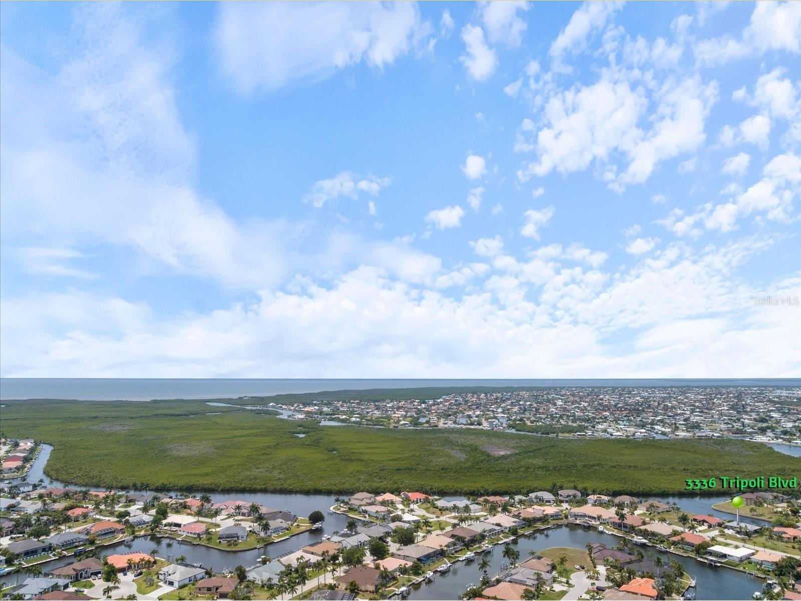 3336 Tripoli Boulevard Punta Gorda FL 33950 C7526085 image48