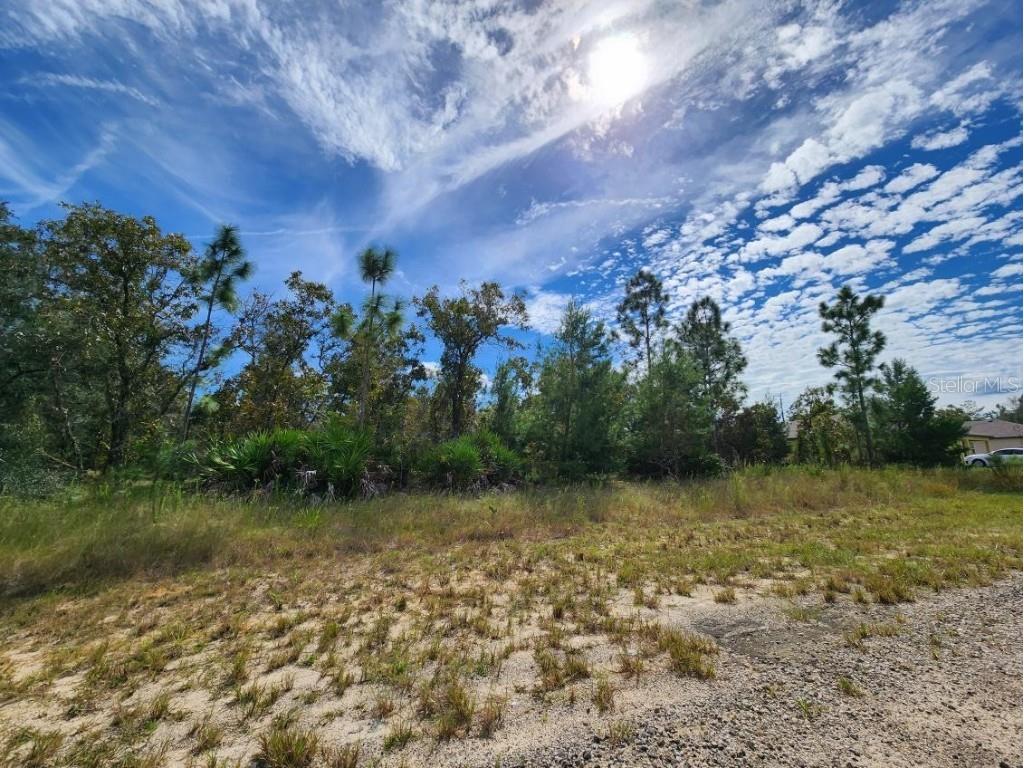 3336 W Nieman Drive Dunnellon FL 34433 S5113951 image1
