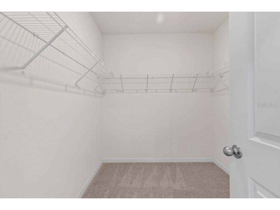 33369 Hamilton Hill Lane Wesley Chapel FL 33545 TB8401520 image20