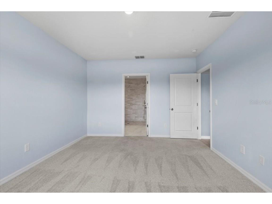 33369 Hamilton Hill Lane Wesley Chapel FL 33545 TB8401520 image22