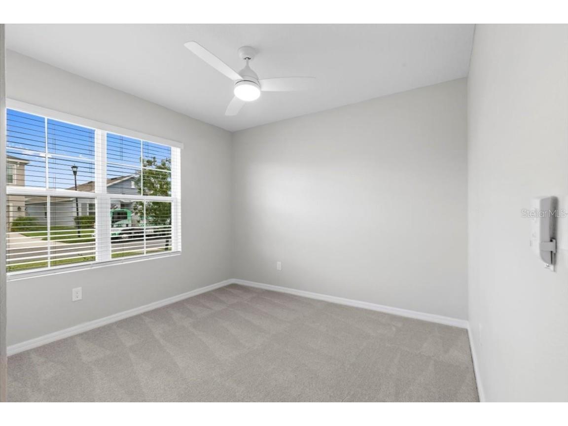 33369 Hamilton Hill Lane Wesley Chapel FL 33545 TB8401520 image23