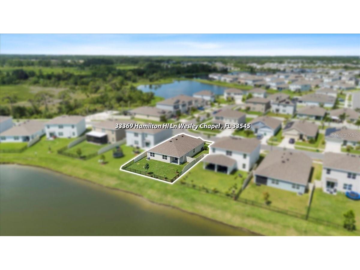 33369 Hamilton Hill Lane Wesley Chapel FL 33545 TB8401520 image32