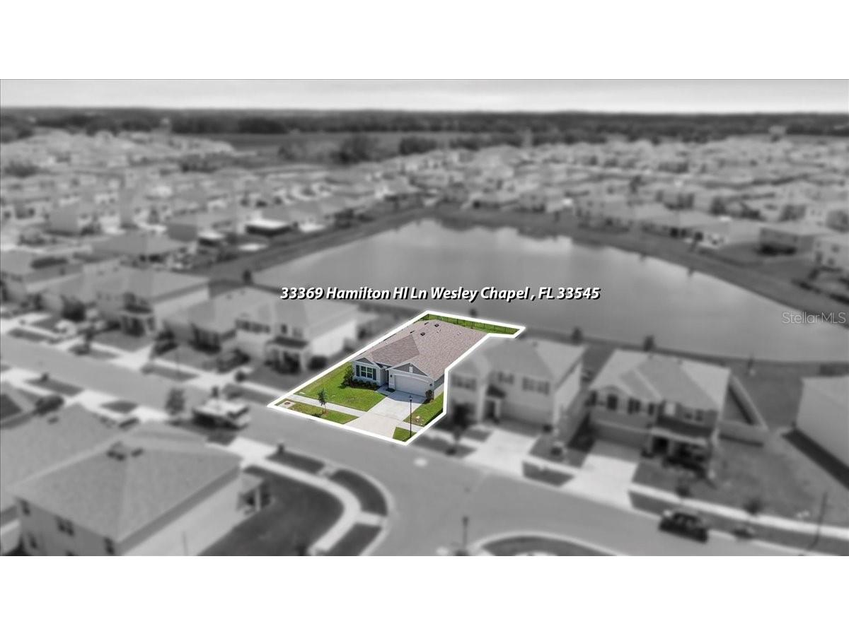 33369 Hamilton Hill Lane Wesley Chapel FL 33545 TB8401520 image34