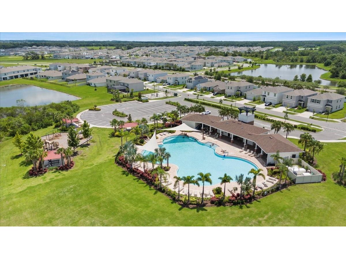 33369 Hamilton Hill Lane Wesley Chapel FL 33545 TB8401520 image35