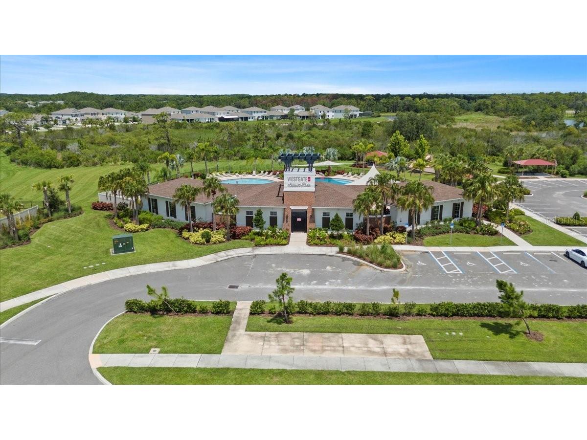 33369 Hamilton Hill Lane Wesley Chapel FL 33545 TB8401520 image36