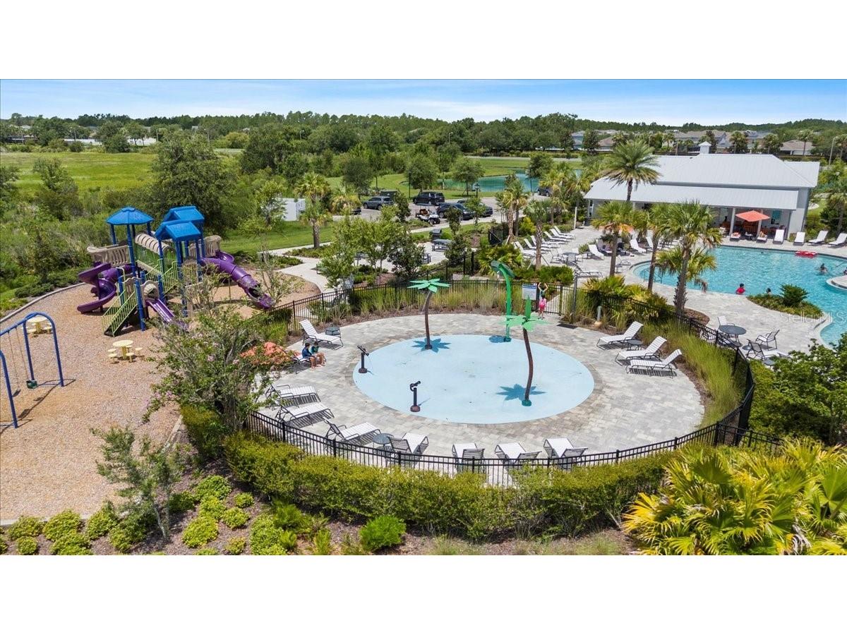 33369 Hamilton Hill Lane Wesley Chapel FL 33545 TB8401520 image37