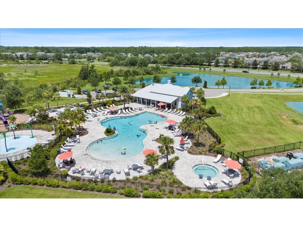 33369 Hamilton Hill Lane Wesley Chapel FL 33545 TB8401520 image38