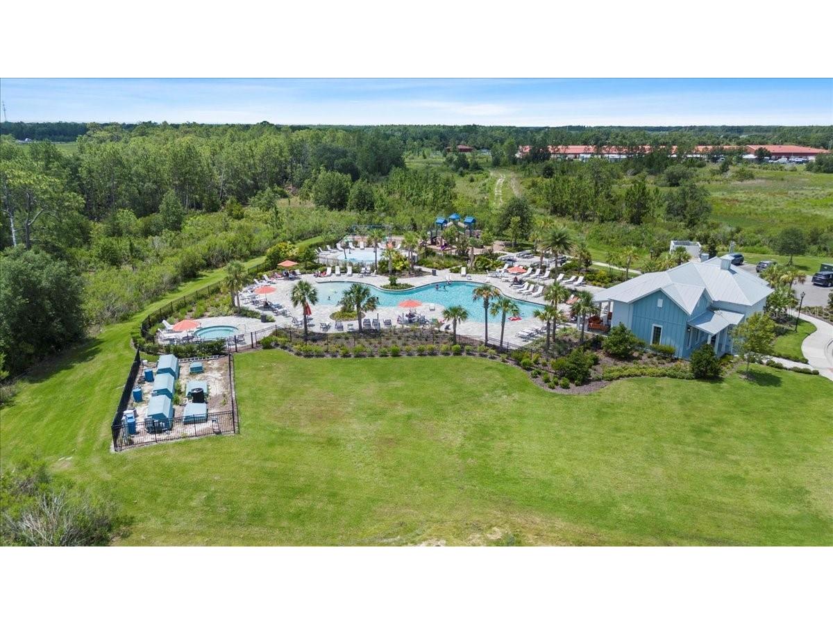 33369 Hamilton Hill Lane Wesley Chapel FL 33545 TB8401520 image39