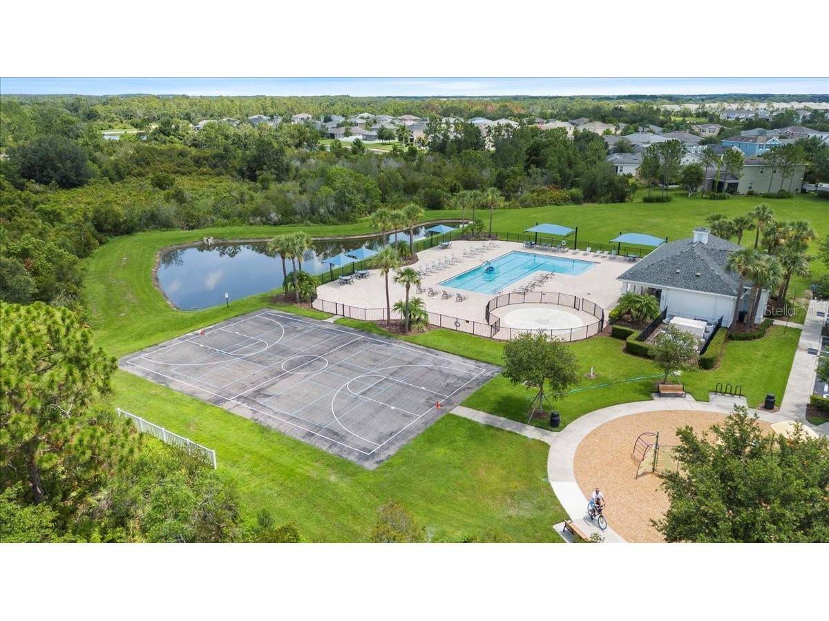 33369 Hamilton Hill Lane Wesley Chapel FL 33545 TB8401520 image41