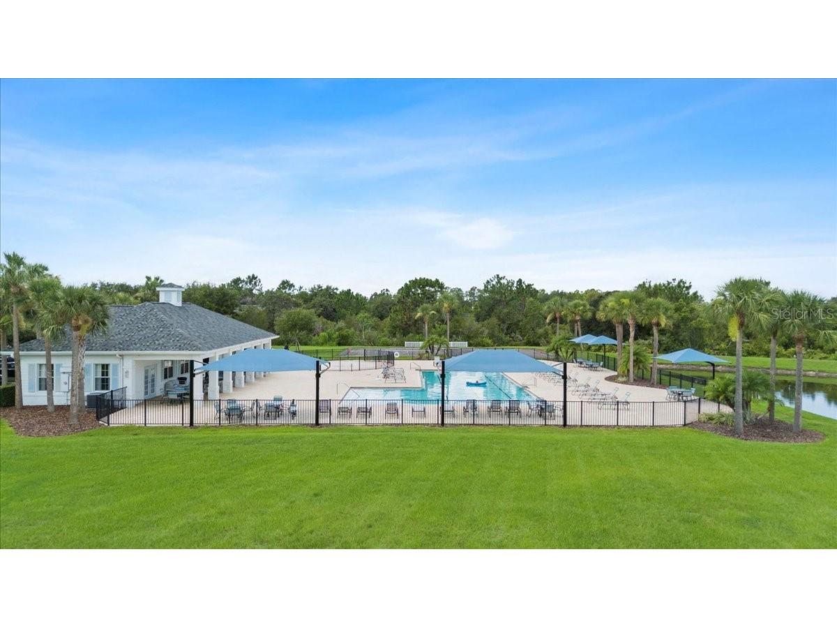 33369 Hamilton Hill Lane Wesley Chapel FL 33545 TB8401520 image42