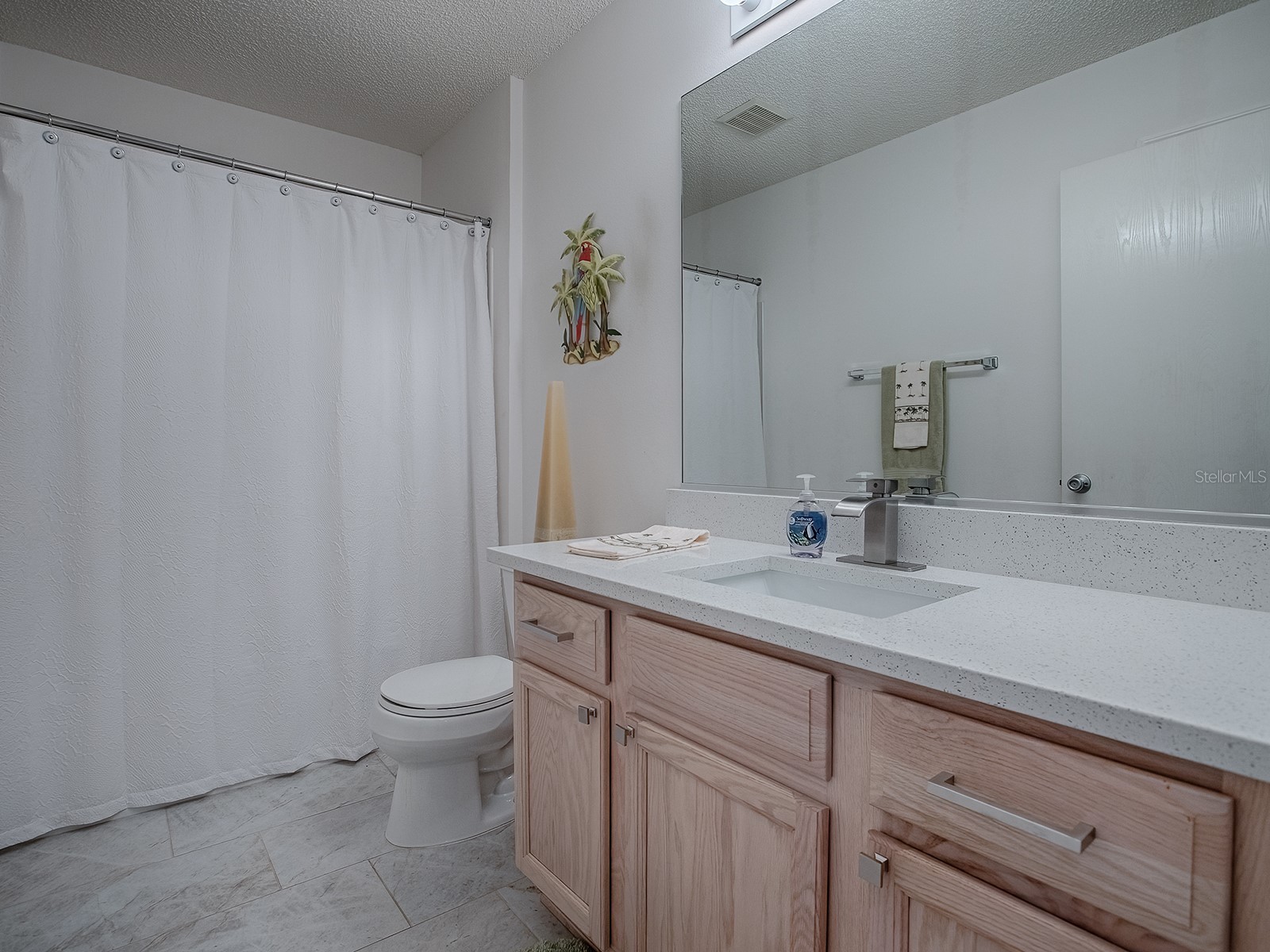 3337 Ashbrook Place The Villages FL 32162 G5113871 image14