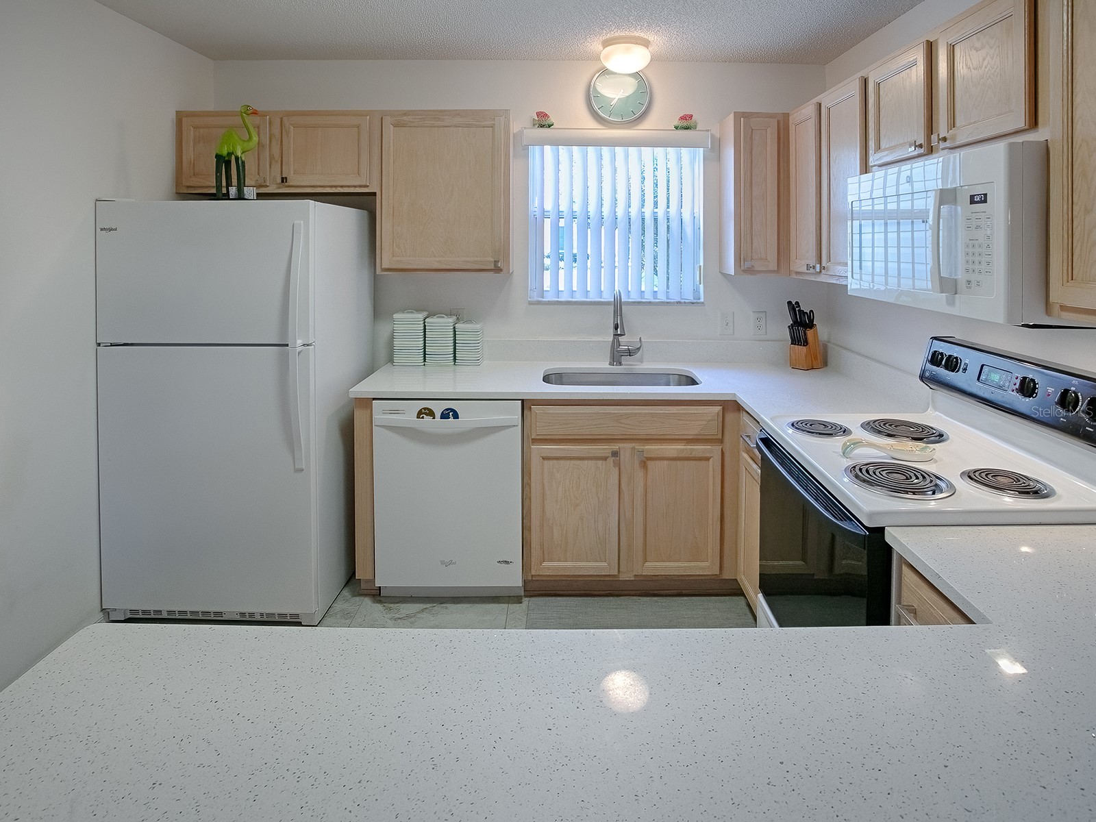 3337 Ashbrook Place The Villages FL 32162 G5113871 image5