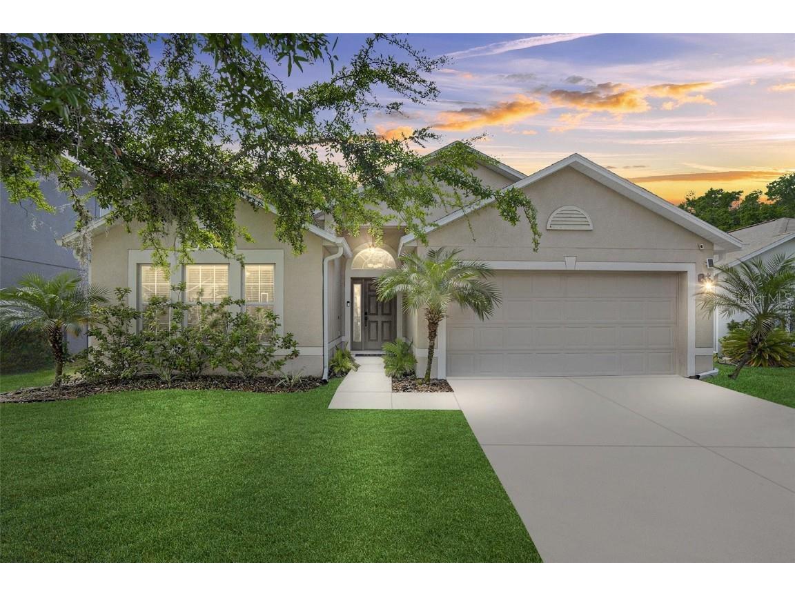 3337 Bellericay Lane Land O Lakes FL 34638 T3512237 image1