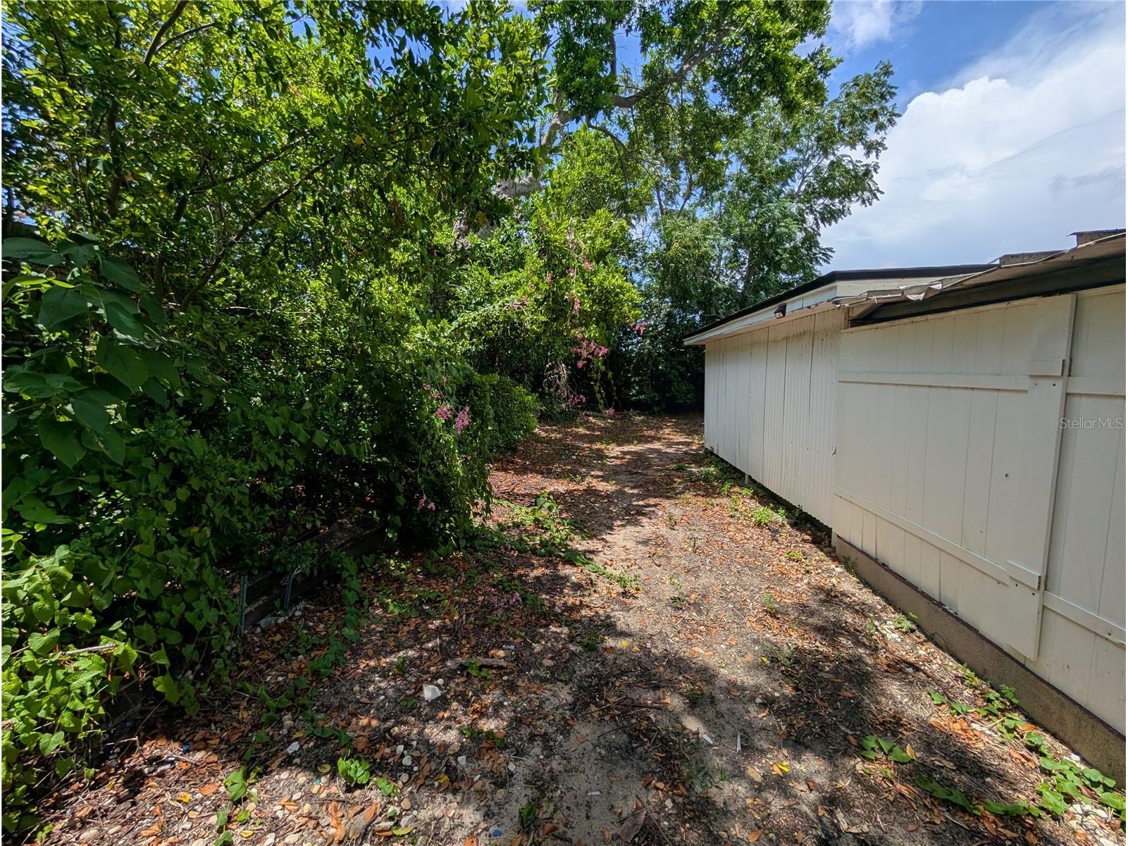 3337 Clydesdale Drive Holiday FL 34691 TB8524107 image20