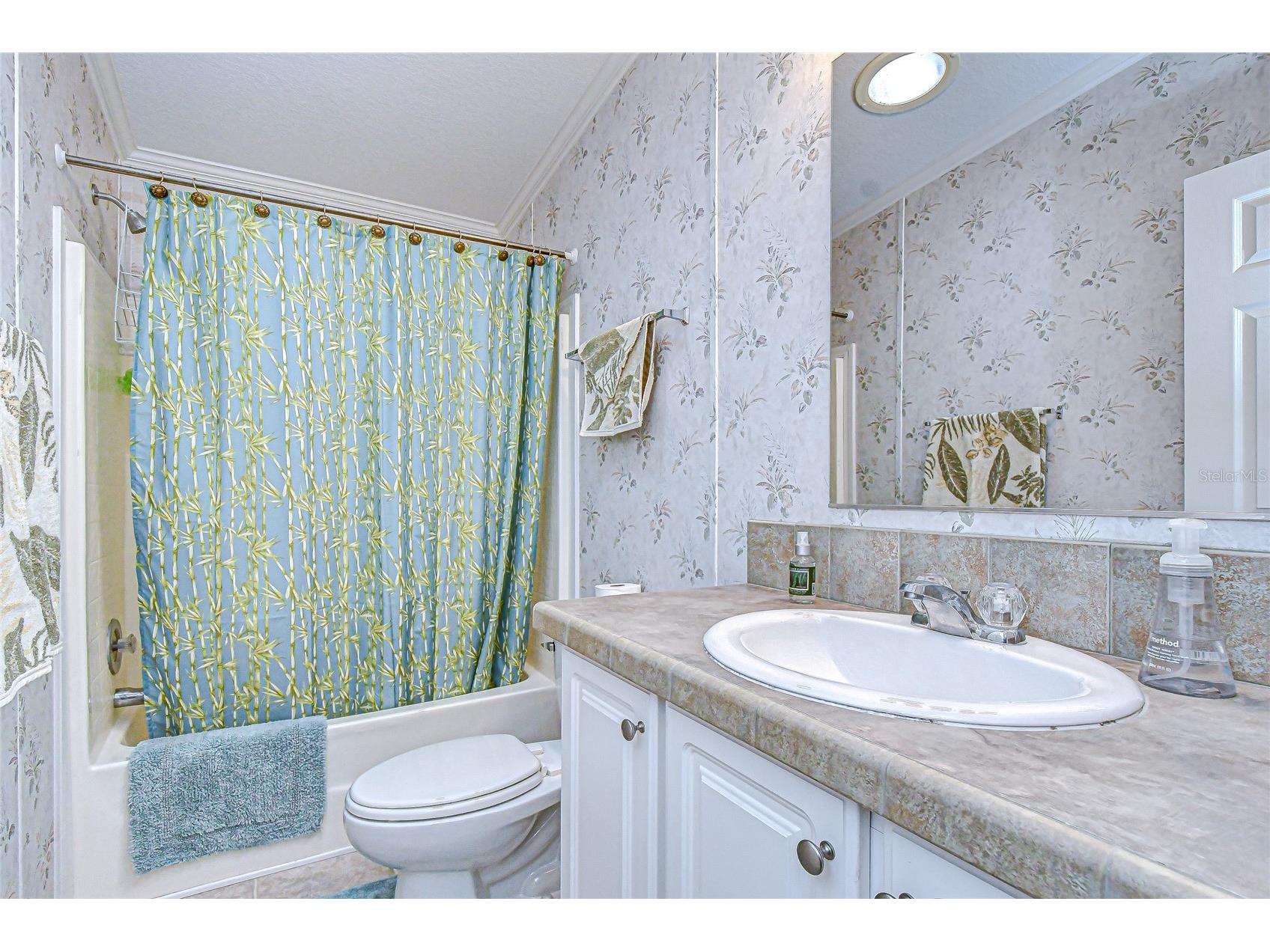 3337 Dawns Dell Zephyrhills FL 33541 TB8465612 image31