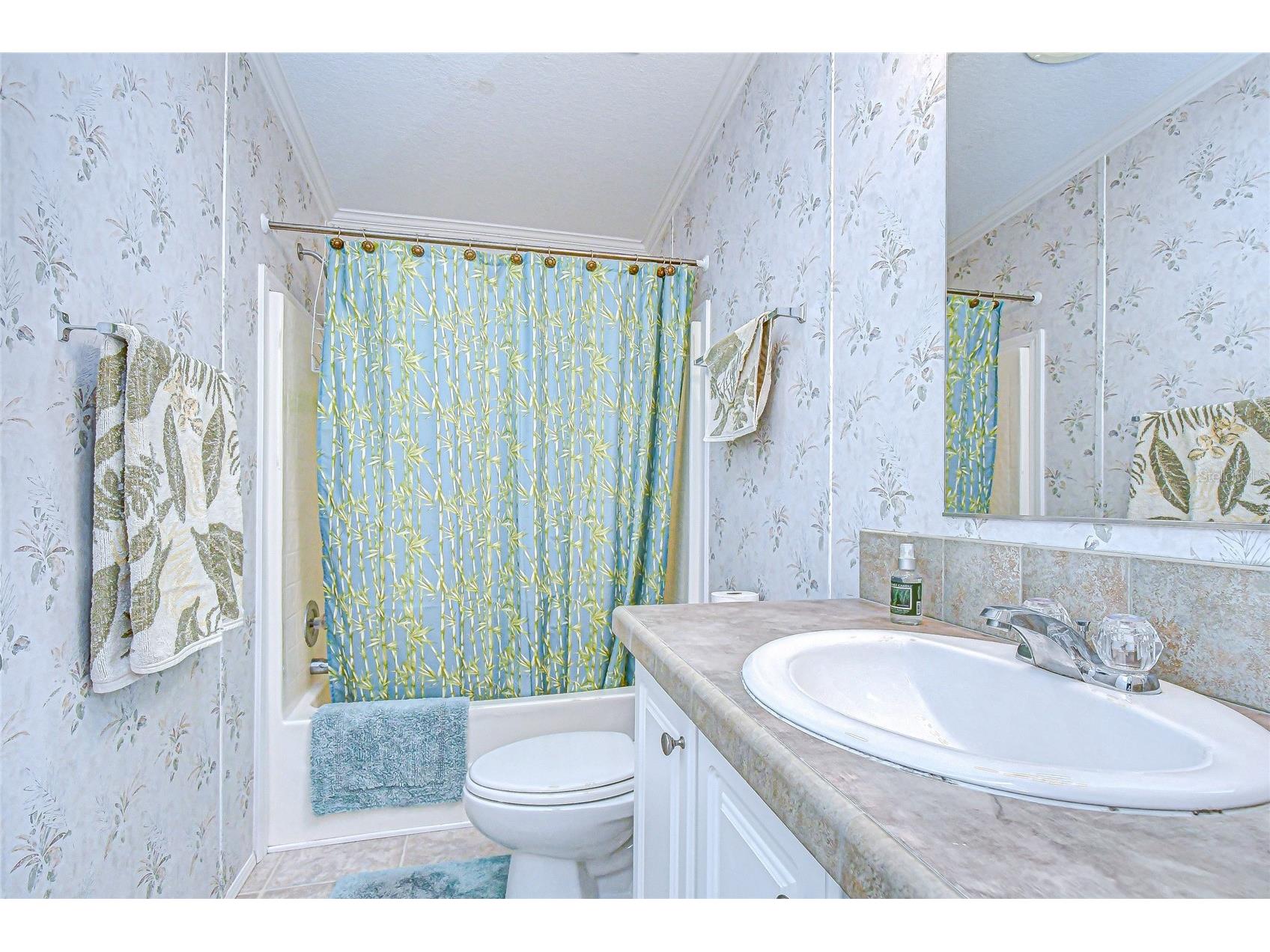 3337 Dawns Dell Zephyrhills FL 33541 TB8465612 image32