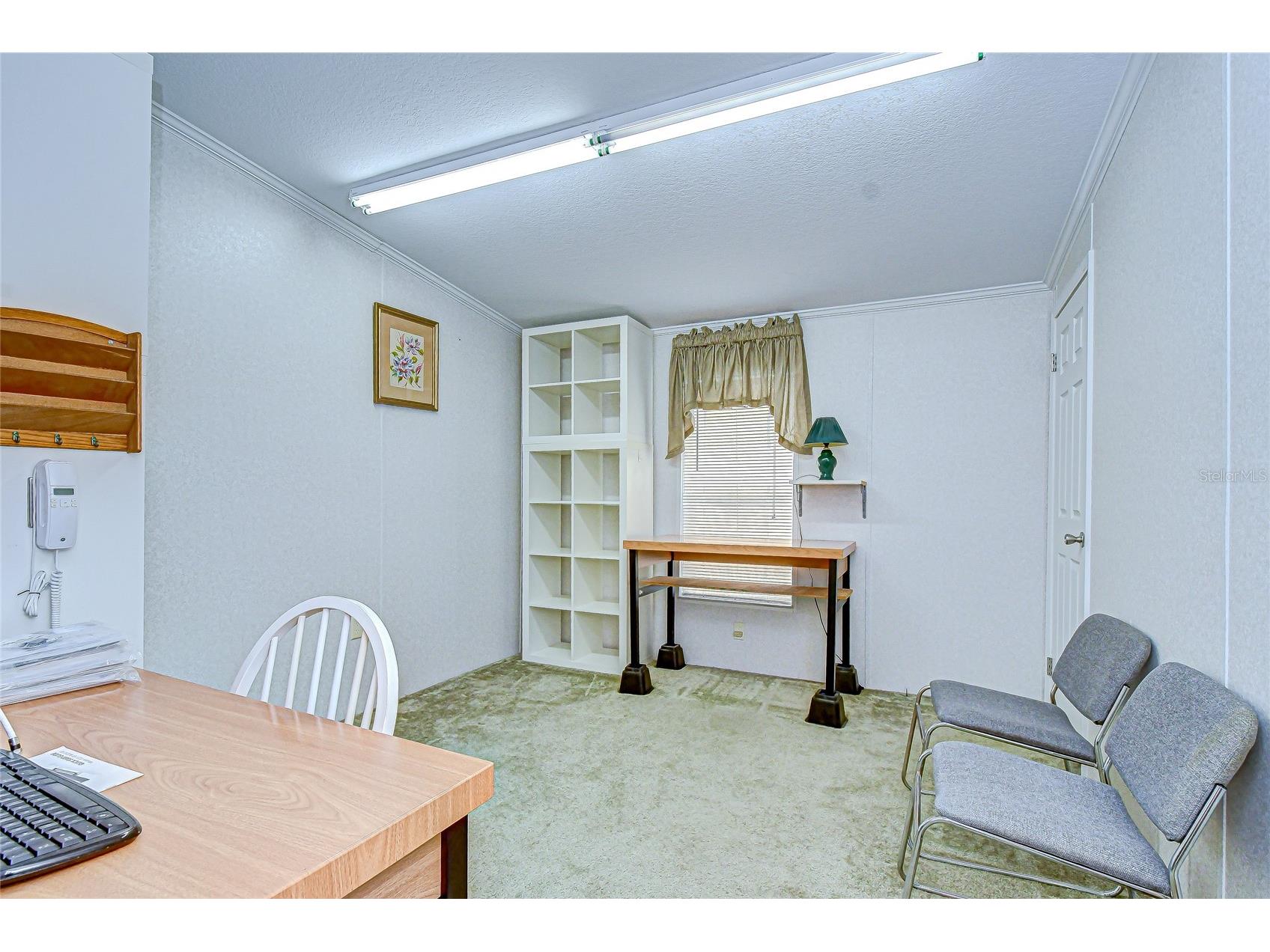 3337 Dawns Dell Zephyrhills FL 33541 TB8465612 image33