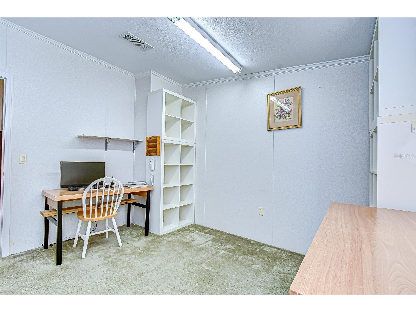 3337 Dawns Dell Zephyrhills FL 33541 TB8465612 image34