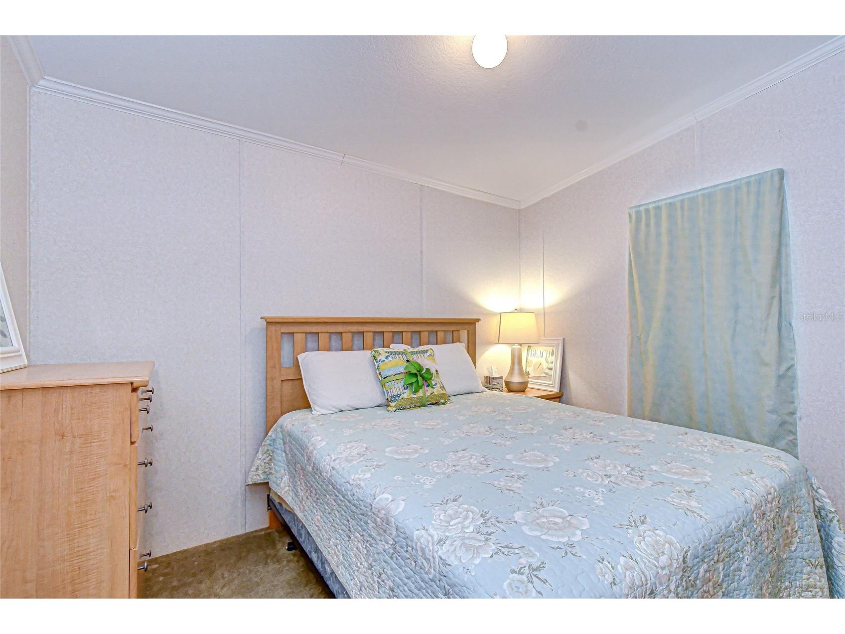 3337 Dawns Dell Zephyrhills FL 33541 TB8465612 image35