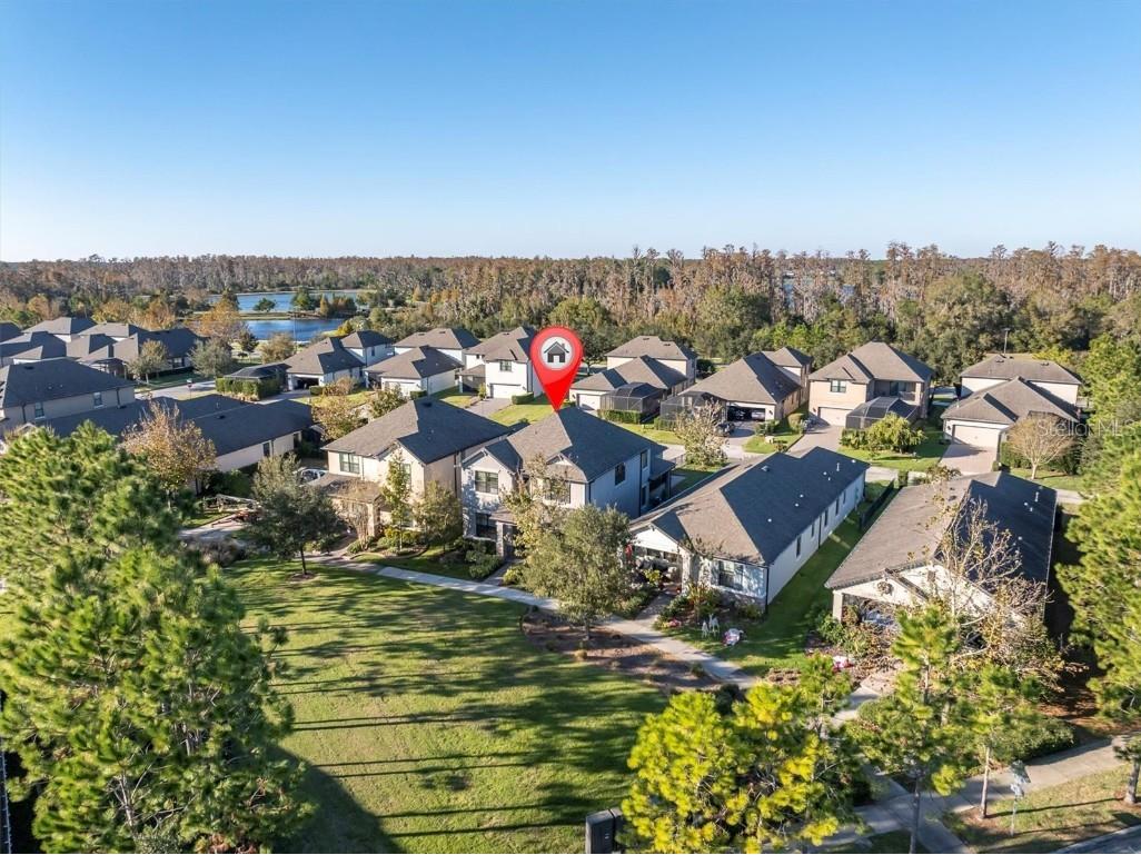 3337 Heart Pine Avenue Odessa FL 33556 W7870557 image1