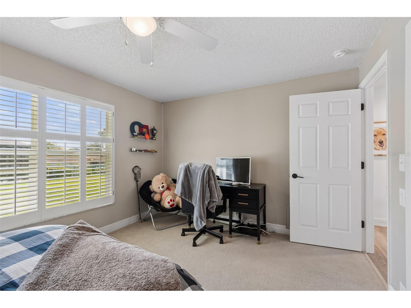 3337 Hyde Park Drive Clearwater FL 33761 TB8502388 image47